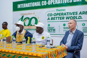 International corporative day